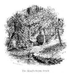 Der Kings Gairn Brook